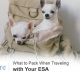 Travel with ESA