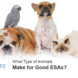 ESA Pets