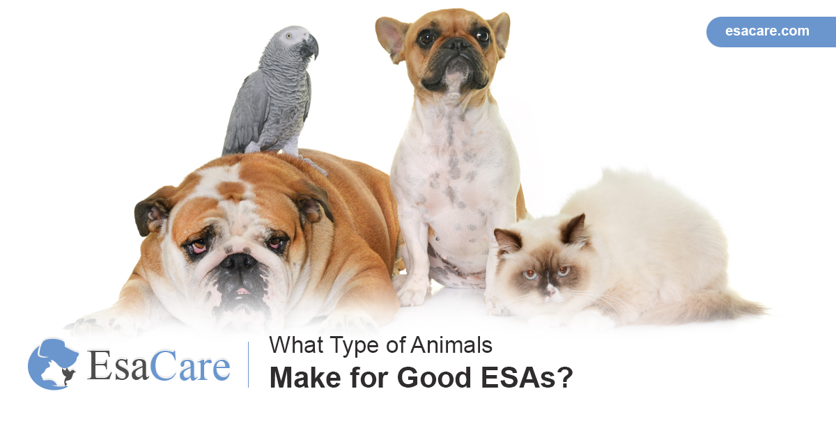 ESA Pets