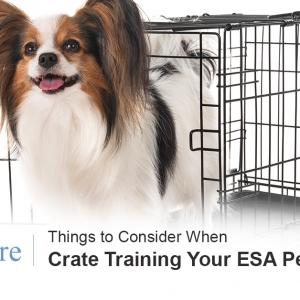 Crate Training ESA