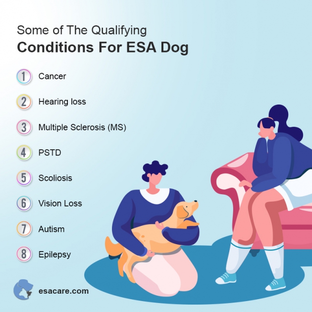 Steps To Follow When Converting ESA Dog To a Service Dog ESA Care