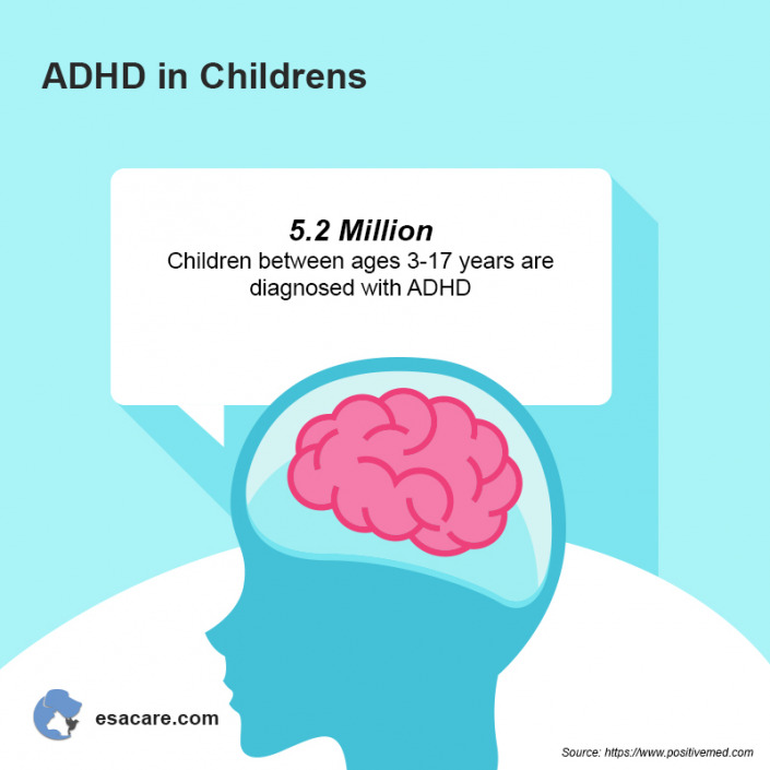 How are Dogs the Best Option for Your Child’s ADHD? ESA Care