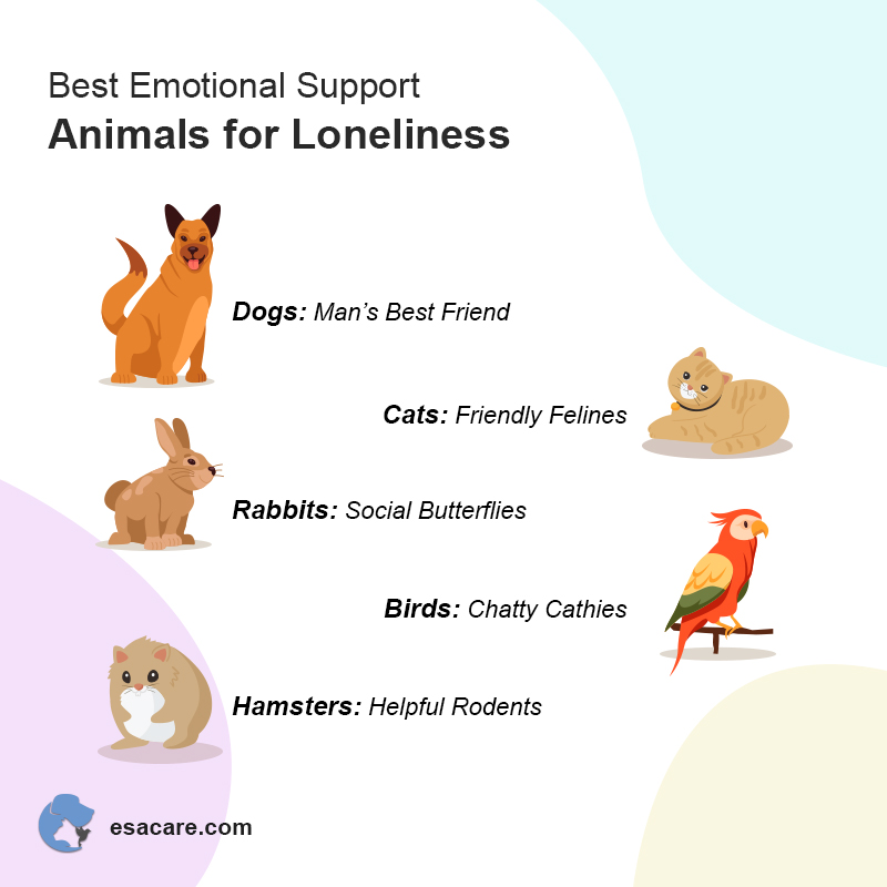Fighting Loneliness Using an Emotional Support Animal - ESA Care