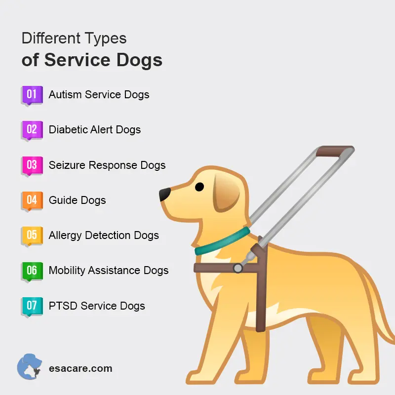 what is the difference between an esa and a service dog