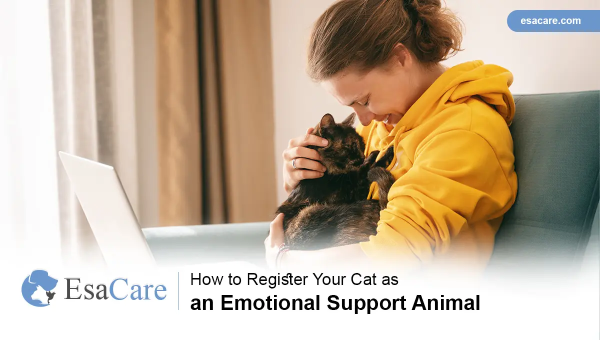 Can Cats be Service Animals? The Answer You Need to Know - ESA Care