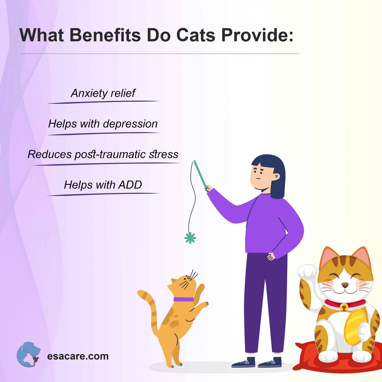can cats be service animals        <h3 class=