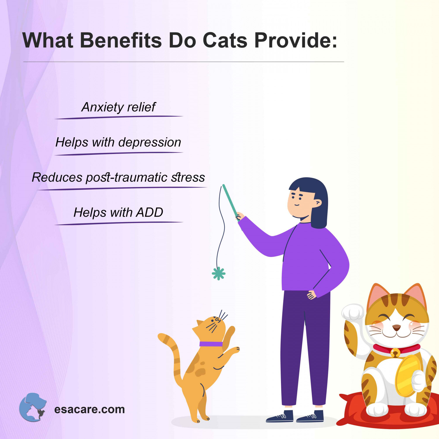 Can Cats Be Service Animals The Answer You Need To Know ESA Care