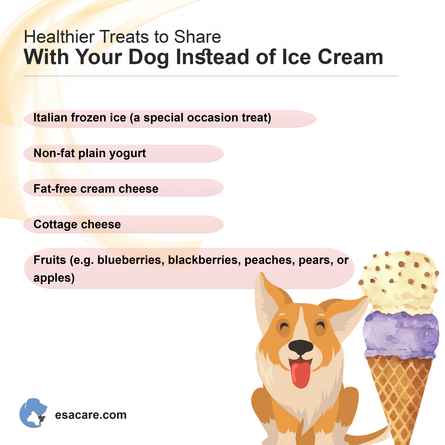 Can Dogs Eat Ice Cream? Facts to Know Before Feeding ESA Care