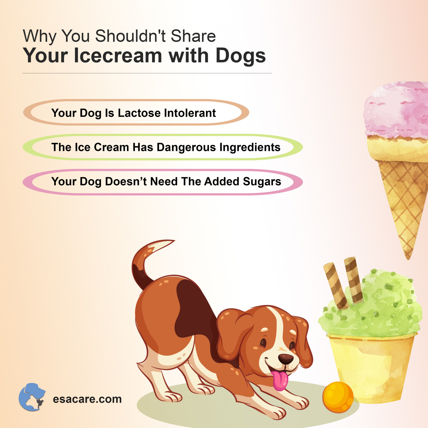 Can Dogs Eat Ice Cream? Facts To Know Before Feeding - ESA Care