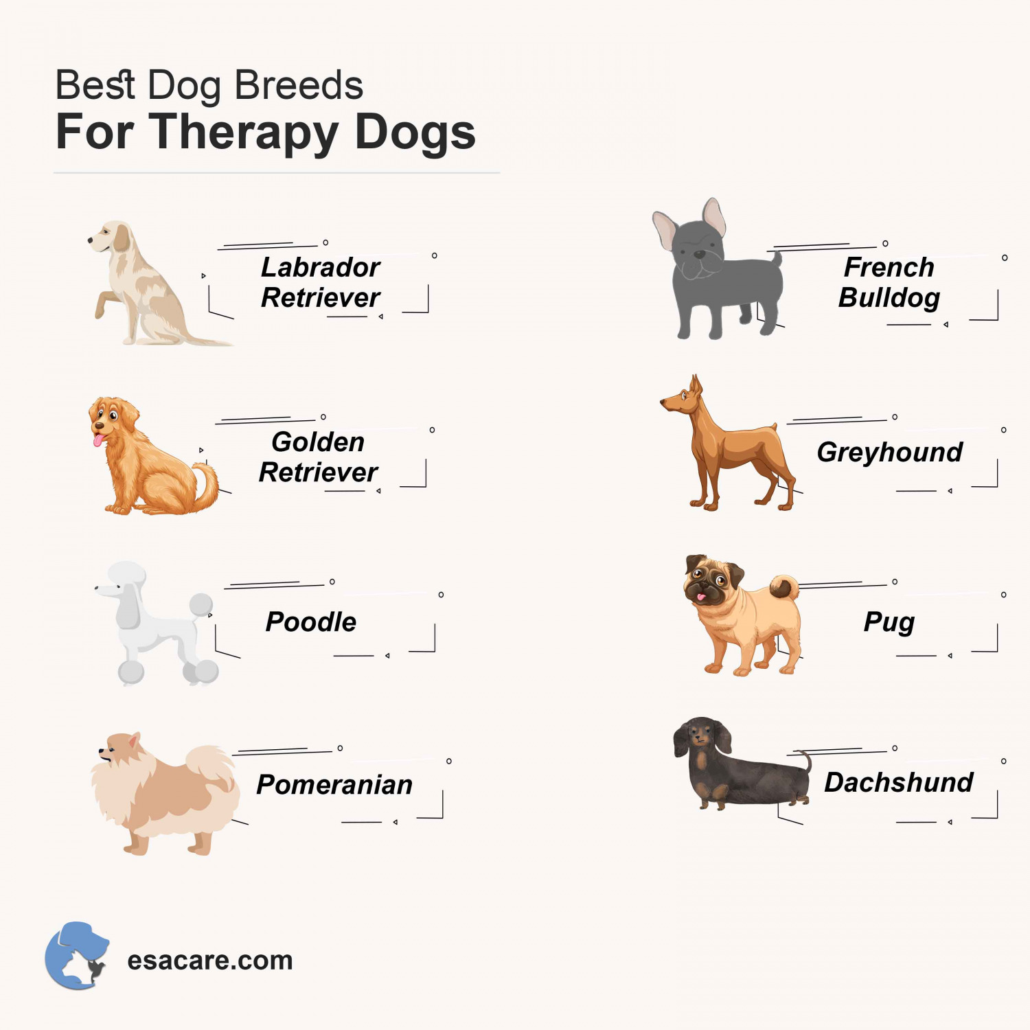 How Should You Train Your Dog as a Therapy Dog? ESA Care