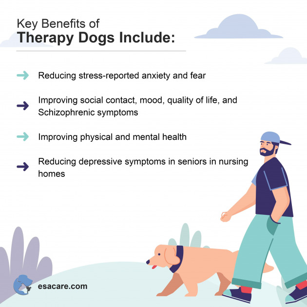 How to Get a Therapy Dog for Schizophrenia ESA Care