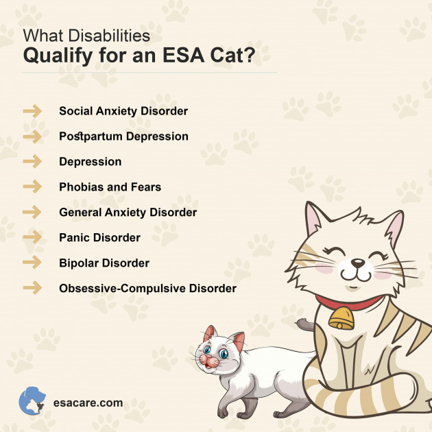 How to Register Cat as Emotional Support Animal Complete Guide ESA Care