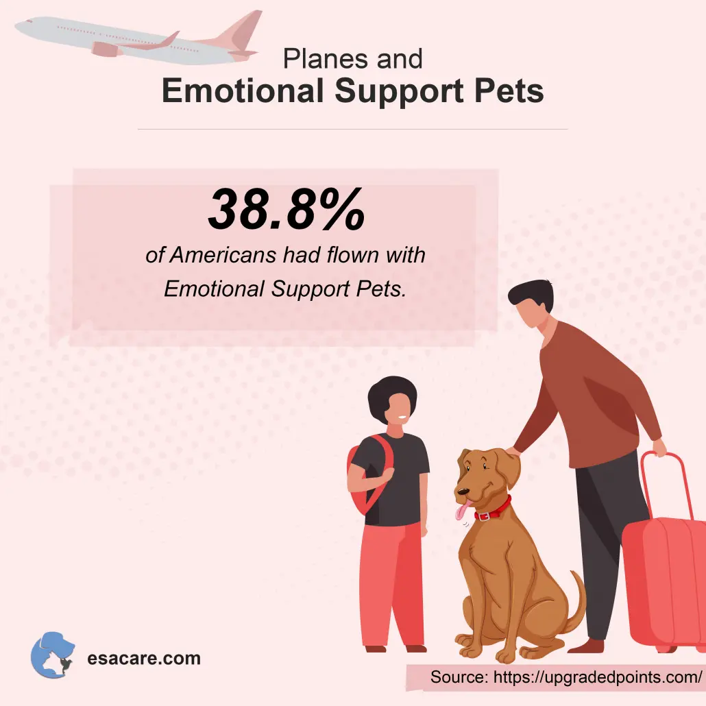 what airlines accept emotional dogs