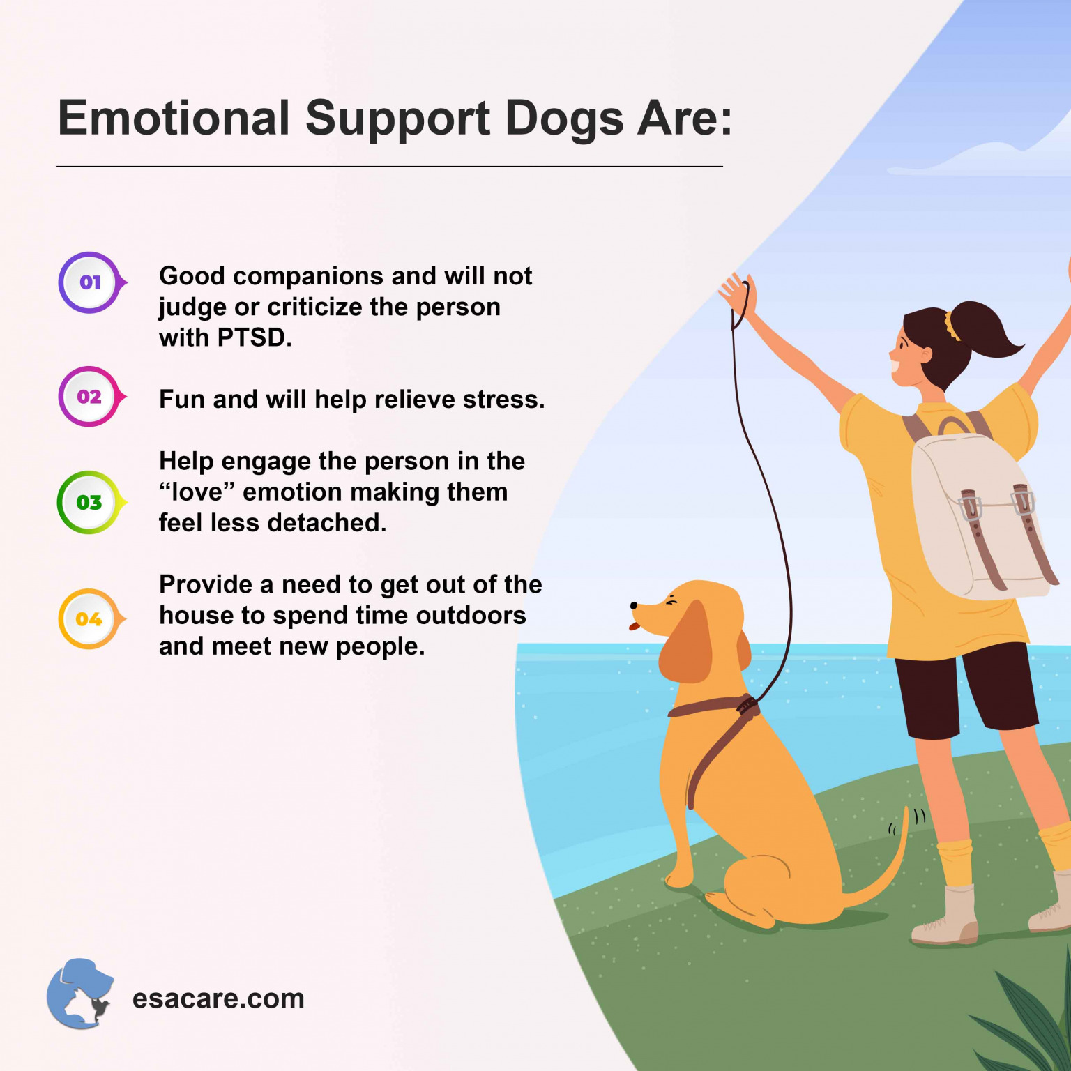 Top 8 Best Emotional Support Dog Breeds for PTSD ESA Care
