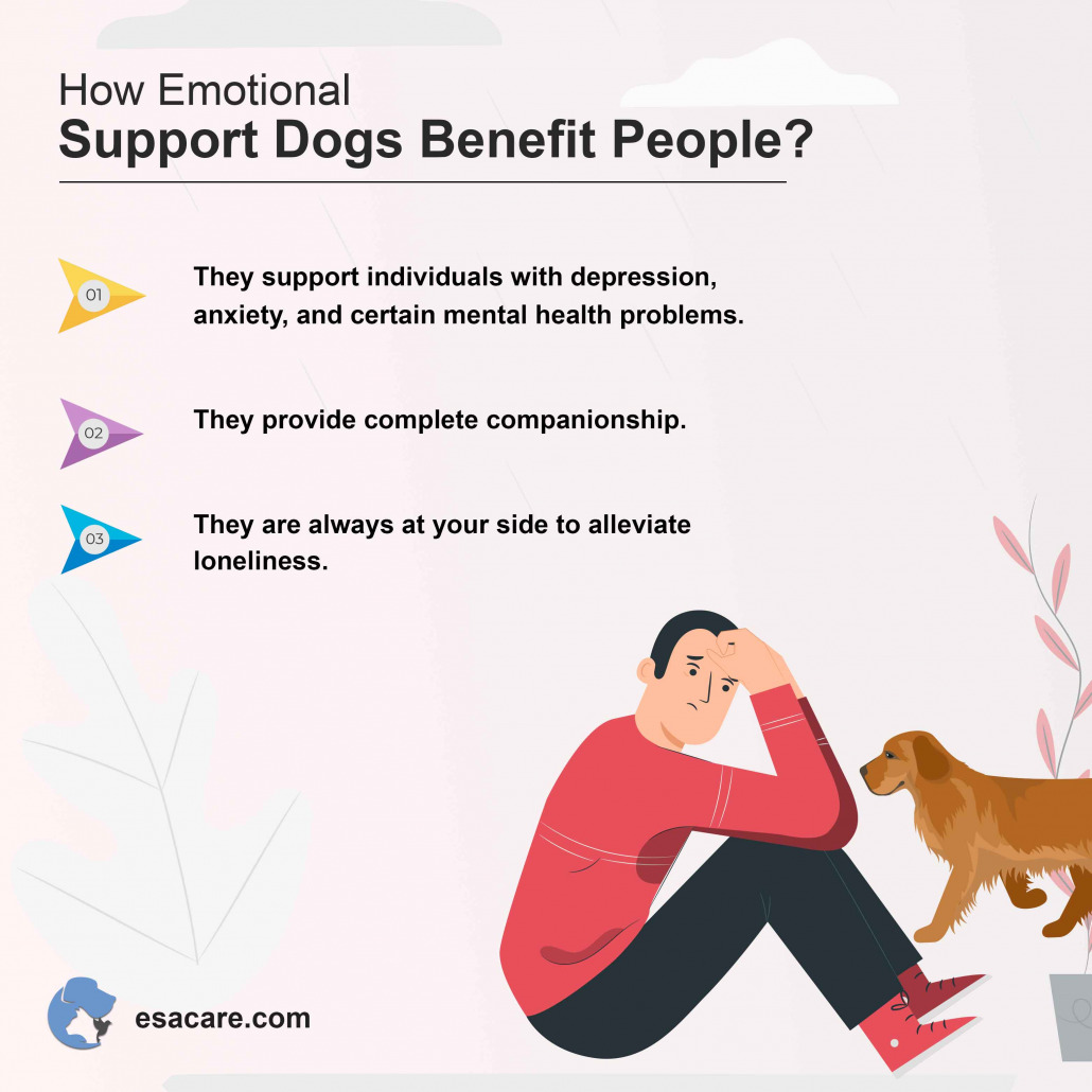 Emotional Support Dogs 