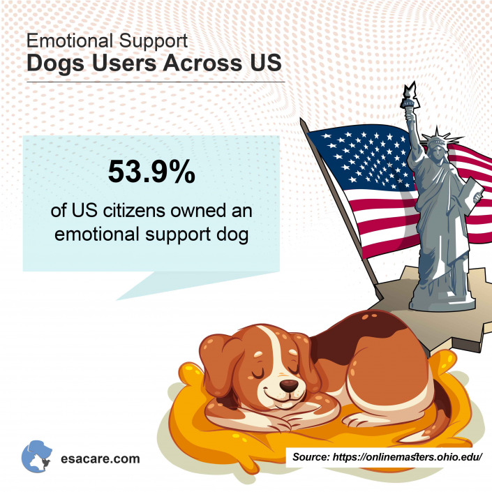 What Should You Know About Dogs for Emotional Support - ESA Care