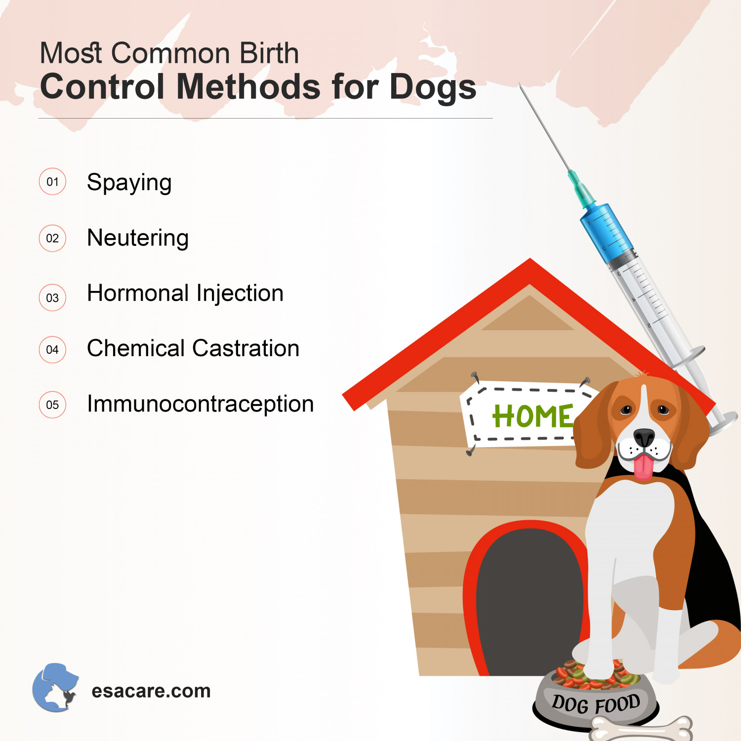 How to Manage Birth Control for Dogs? Top 7 Ways ESA Care