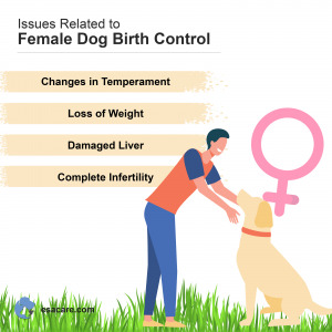Female Dog Birth Control
