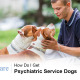 Psychiatric Service Dogs