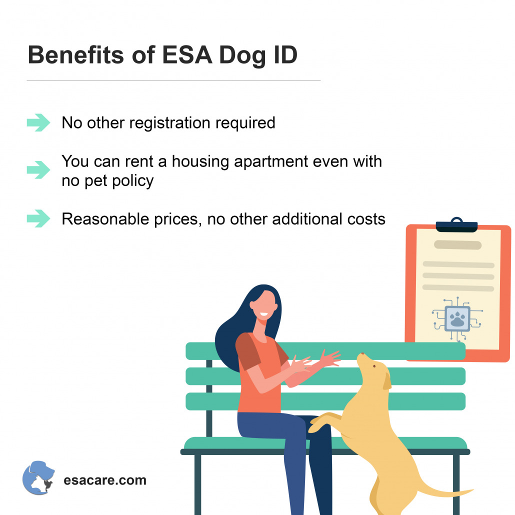 How to Get an Emotional Support Dog ID Card - ESA Care