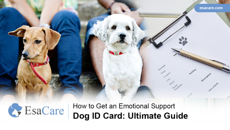 How to Get an Emotional Support Dog ID Card - ESA Care