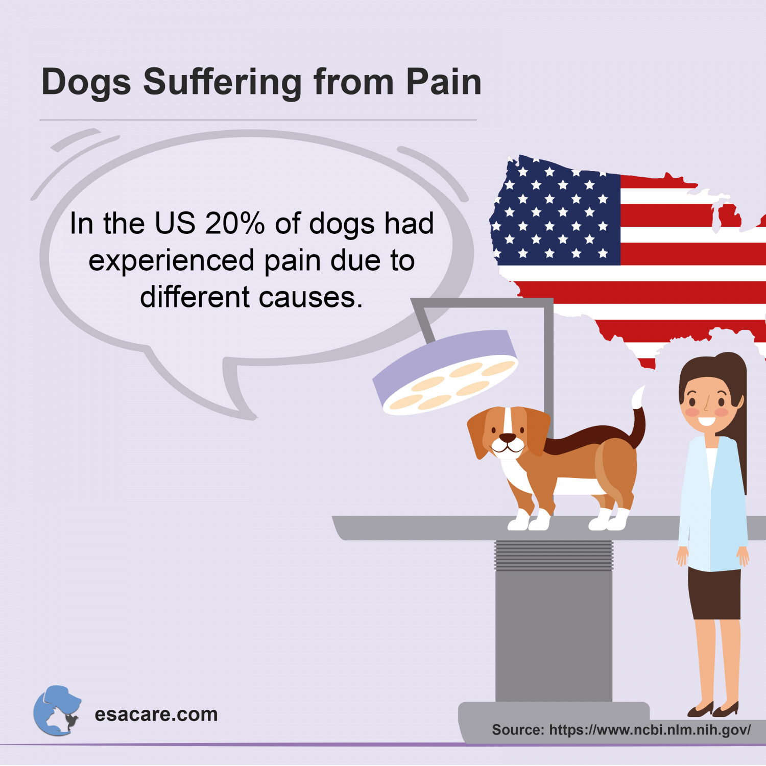 Natural Pain Relief for Dogs Remedies and Treatment ESA Care