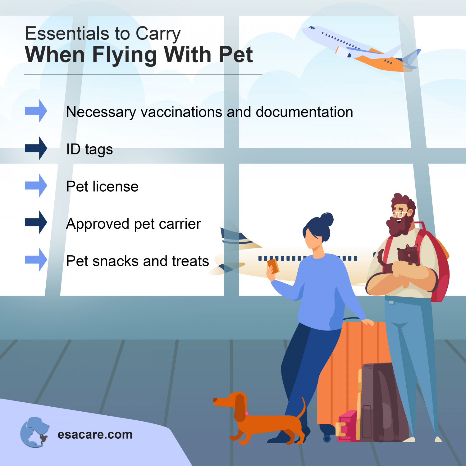 8 PetFriendly Airlines for Flying Internationally ESA Care
