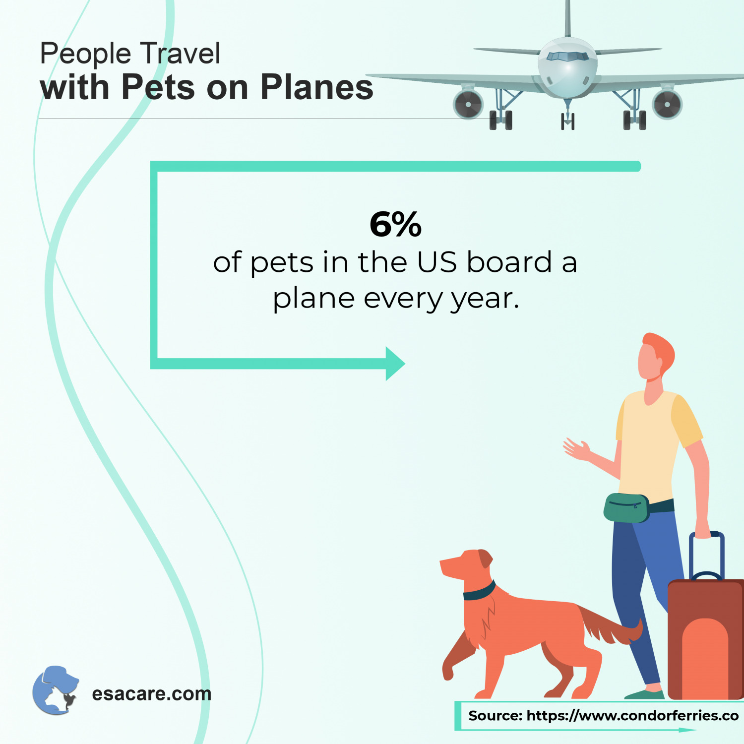 8 PetFriendly Airlines for Flying Internationally ESA Care