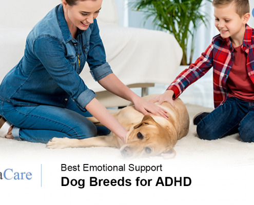 Emotional Support Dog for ADHD