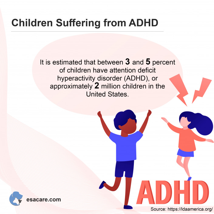 Best Emotional Support Dog Breeds for ADHD ESA Care