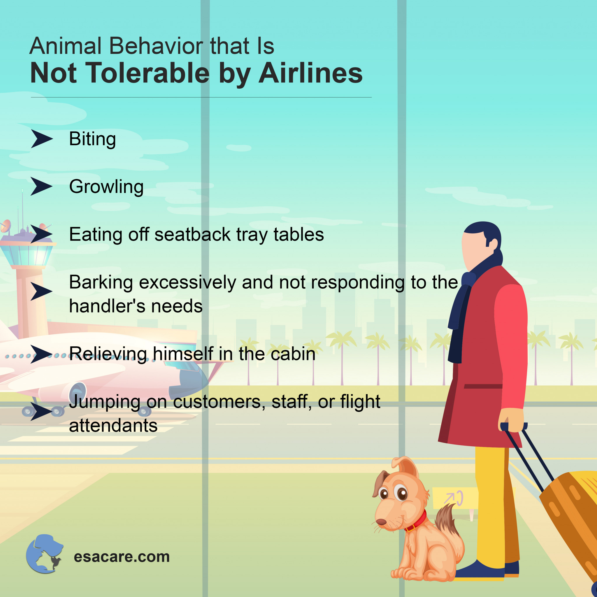 Delta Airlines New Policies for Pets Explained ESA Care