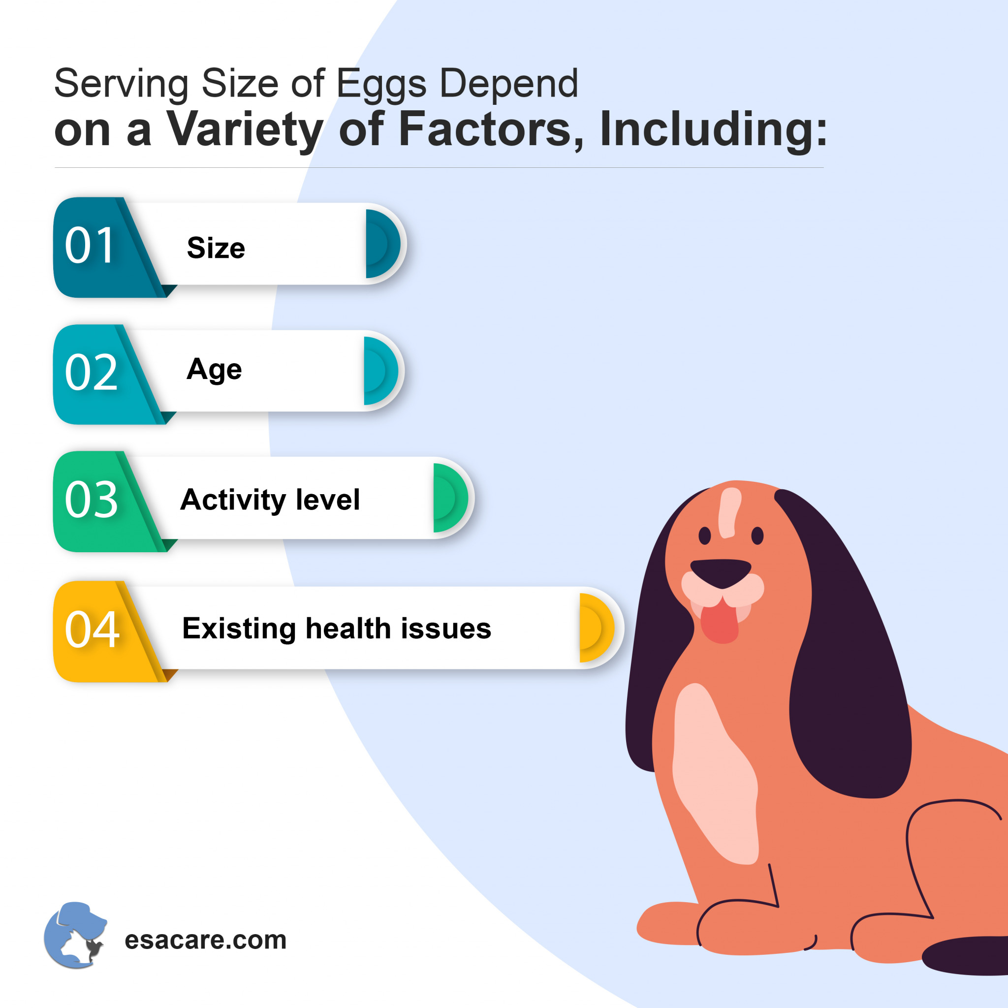 Are Raw Eggs Good for Dogs? Are They Safe? ESA Care
