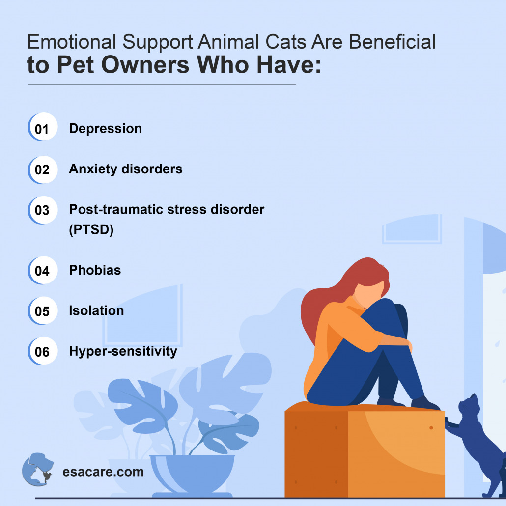 Benefits Of Having An Emotional Support Animal Cat ESA Care