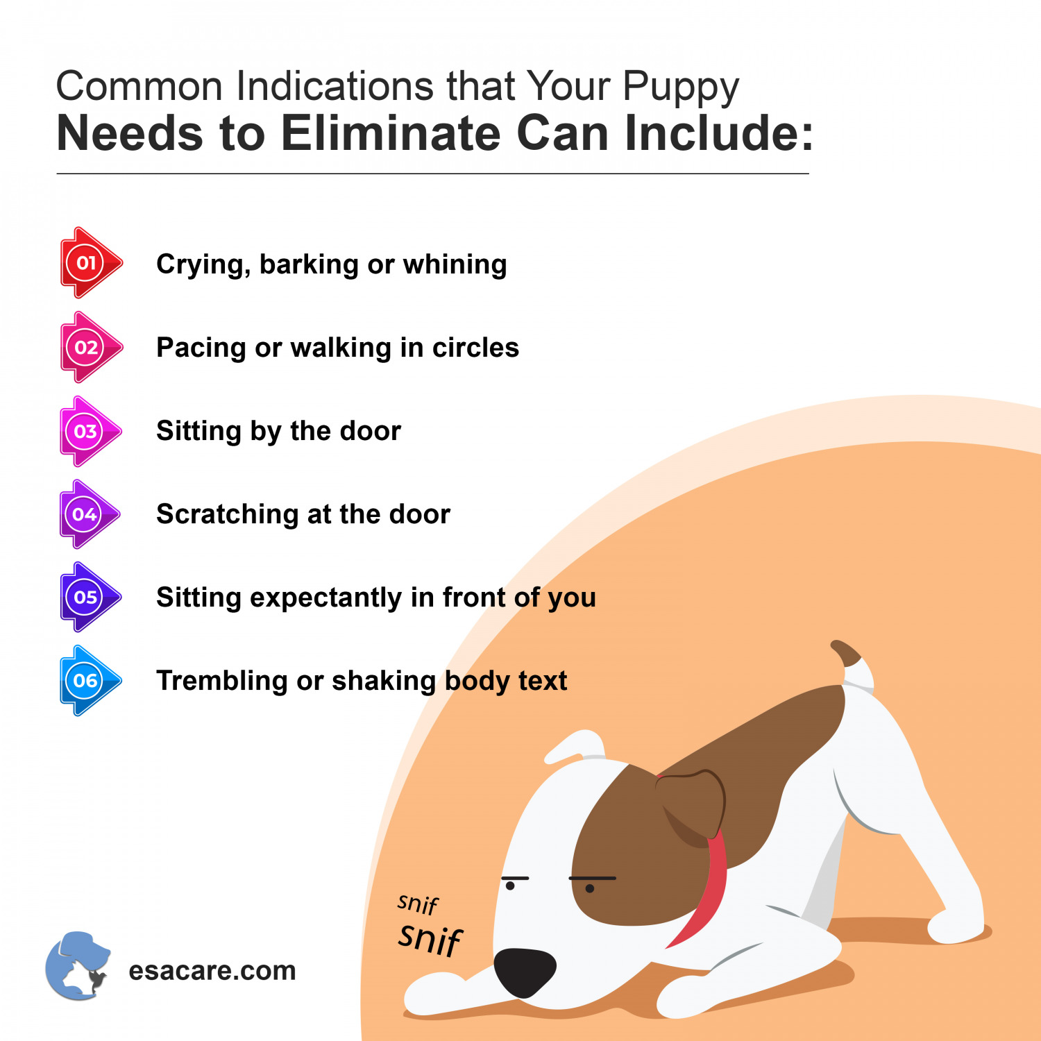 How to Potty Train Your Puppy? Complete Guide ESA Care