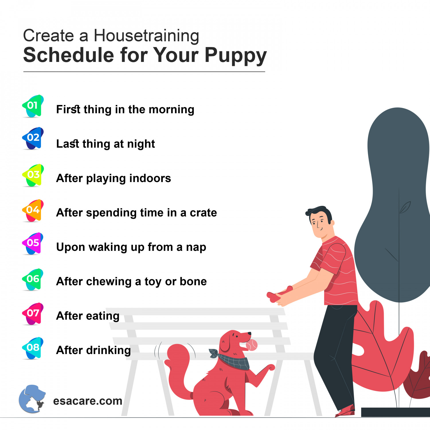 How to Potty Train Your Puppy? Complete Guide ESA Care