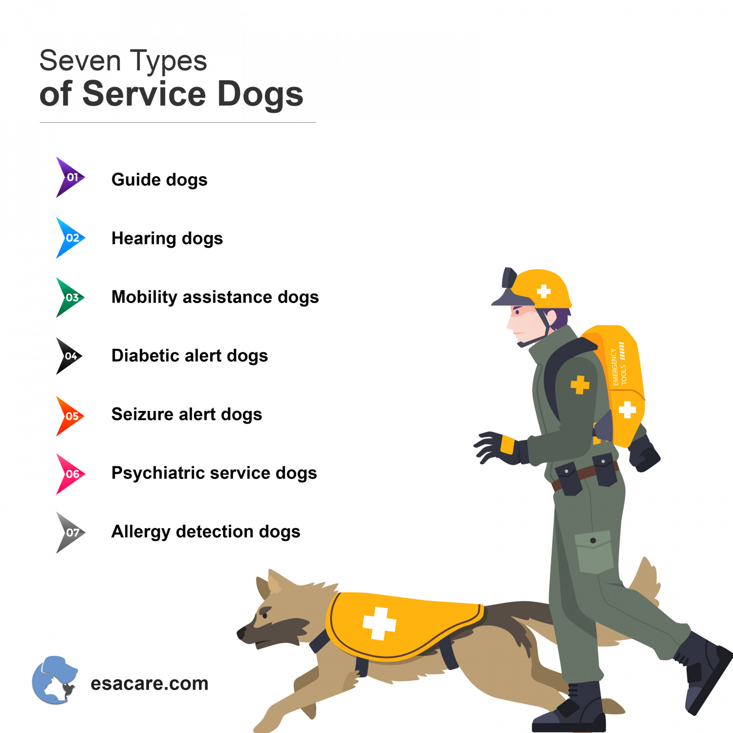7 Suitable Breeds Of Psychiatric Service Dog ESA Care
