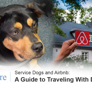 Service Dogs and Airbnb