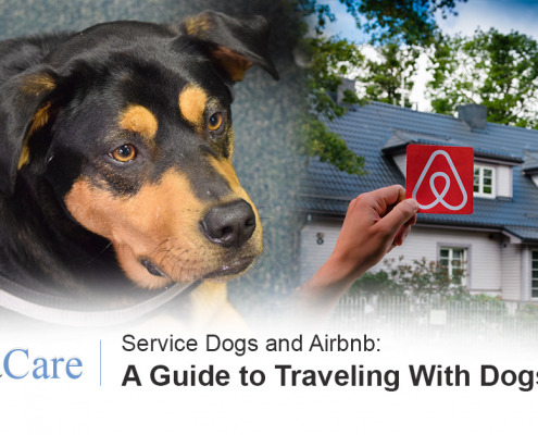 Service Dogs and Airbnb