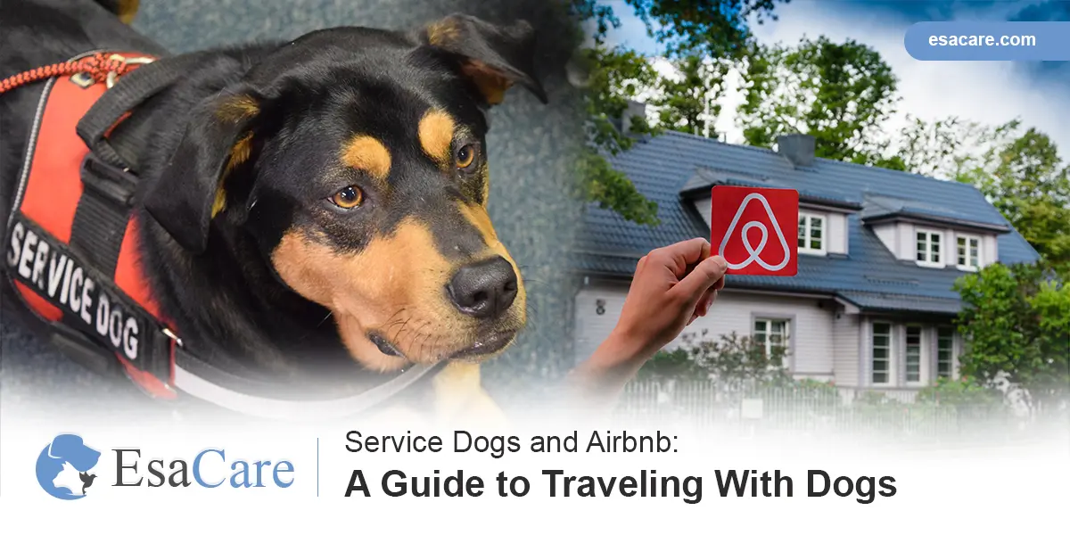 Emotional support best sale animal airbnb