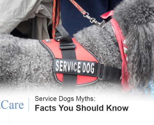 Service Dogs Myths
