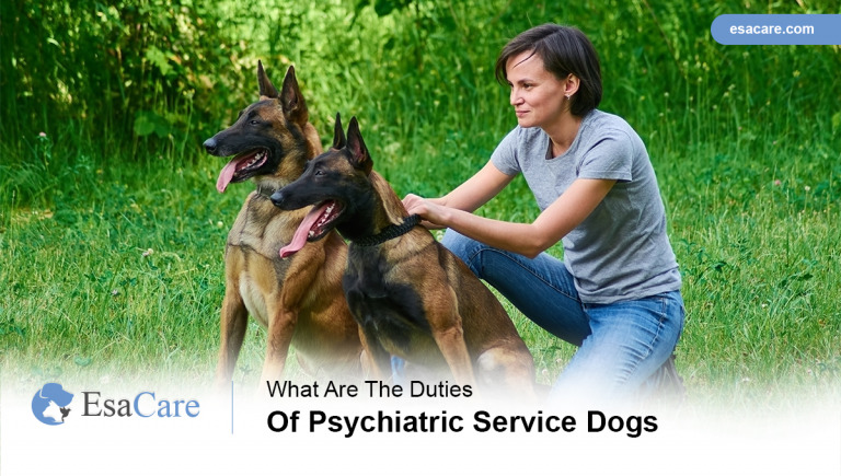 What are the duties of psychiatric service dogs esa care