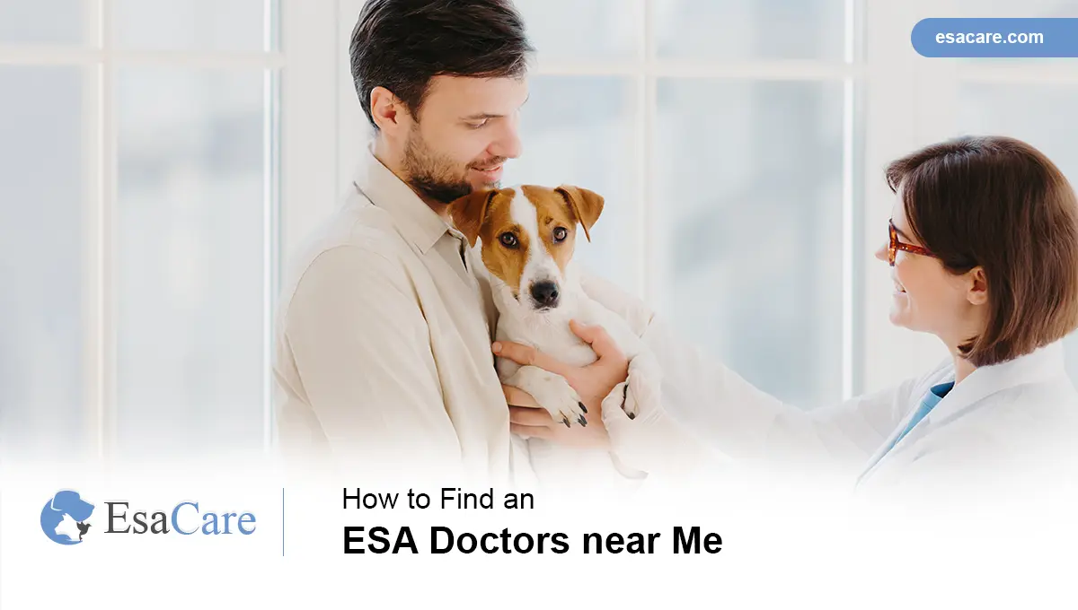 How to Find an ESA Doctors Near Me - ESA Care