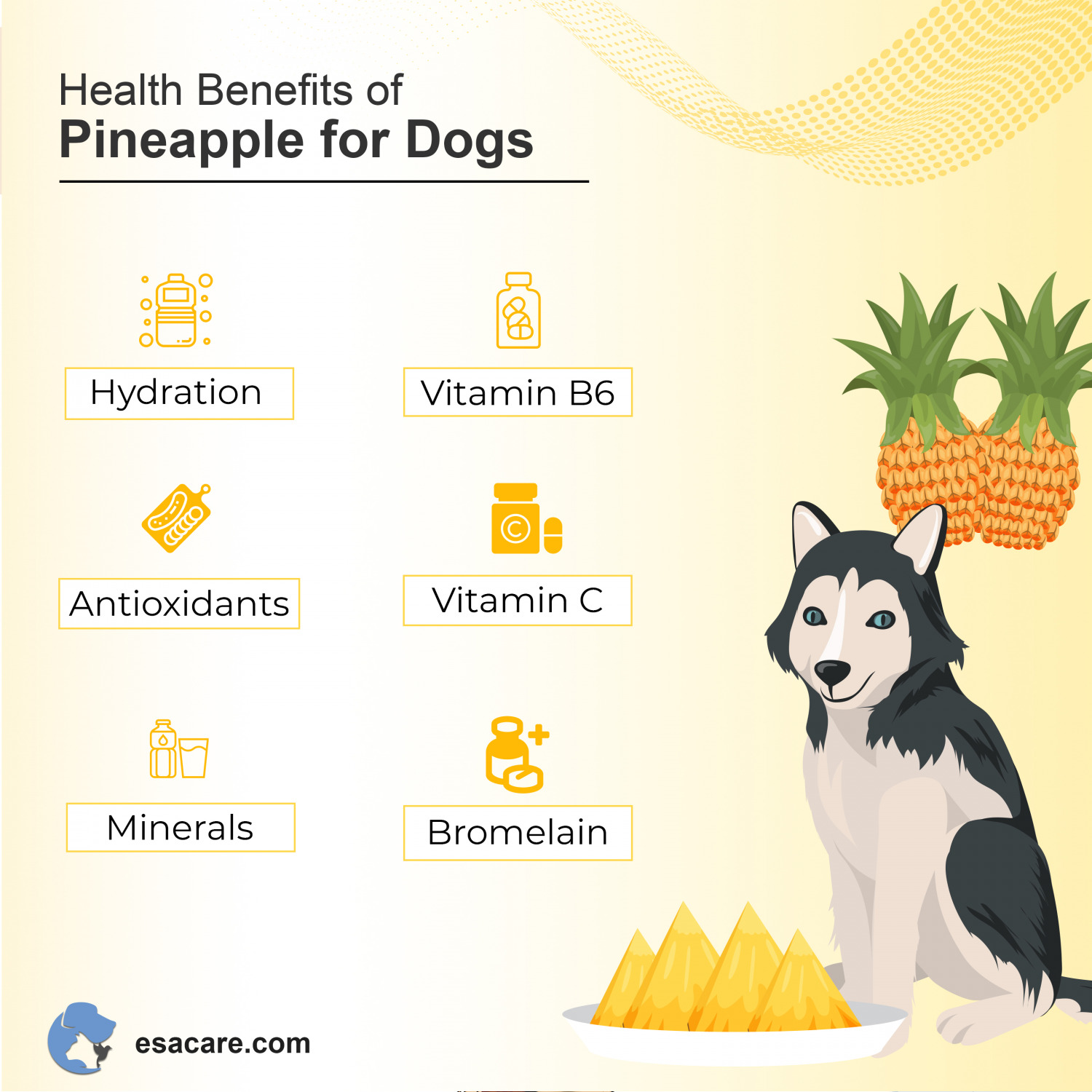 Can Dogs Eat Pineapple? Are They Safe for Them? ESA Care