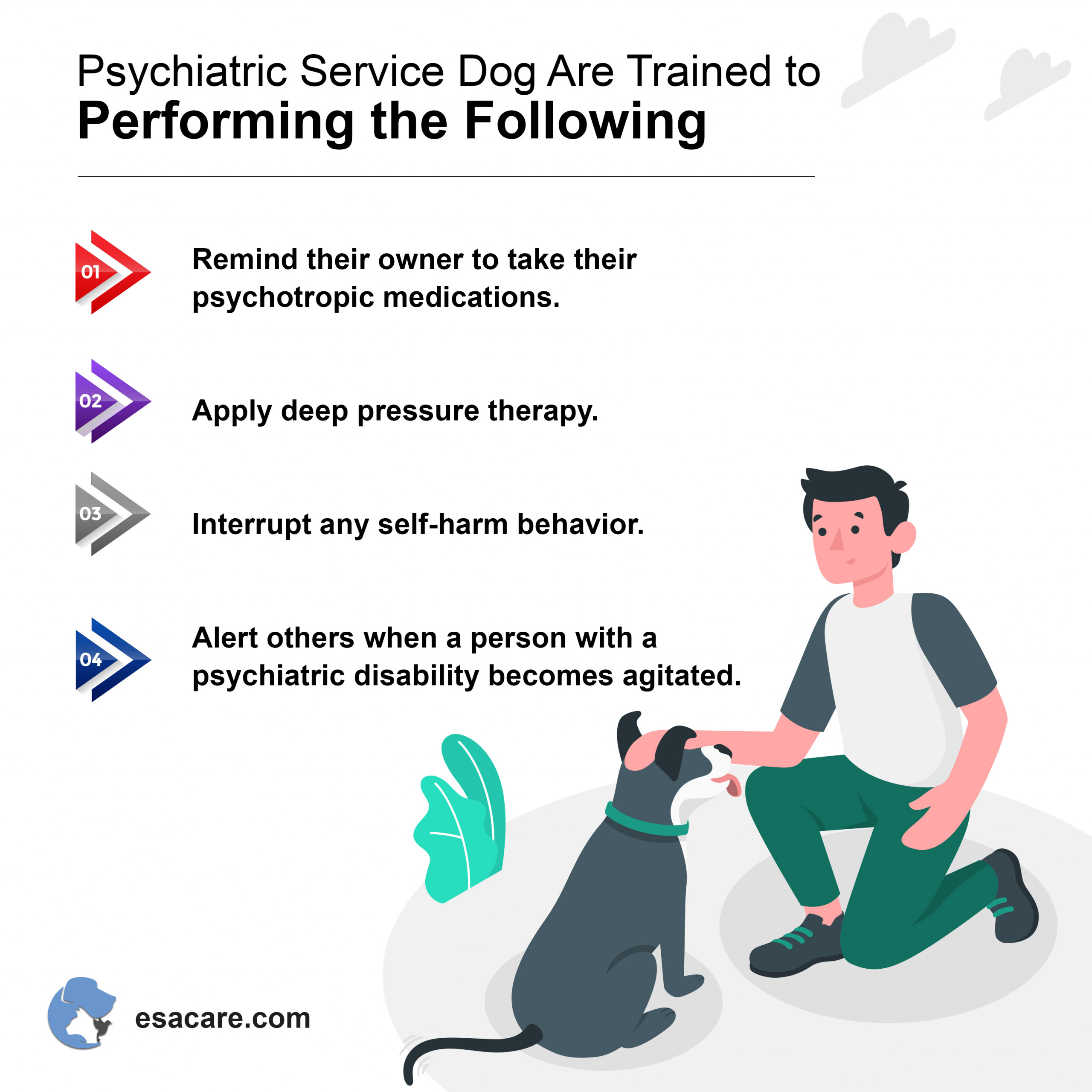 Psychiatric Service Dog Training