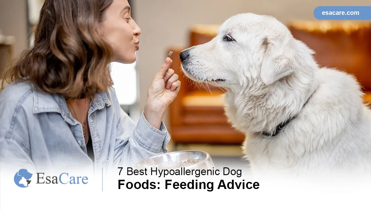 7 Best Hypoallergenic Dog Foods Feeding Advice ESA Care