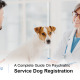 psychiatric service dog registration