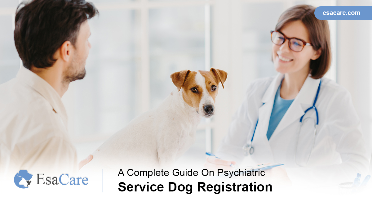 A Complete Guide On Psychiatric Service Dog Registration - ESA Care