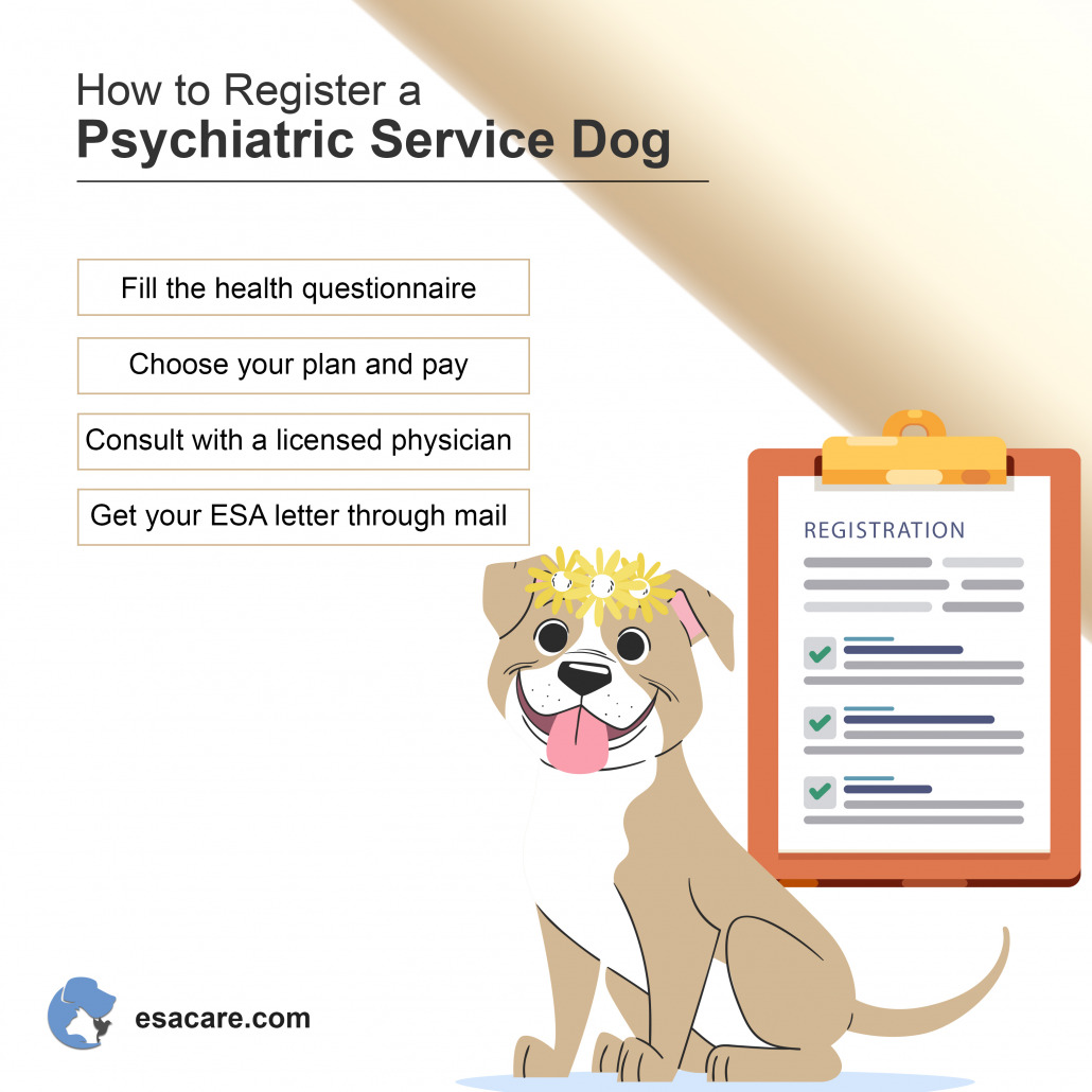 A Complete Guide On Psychiatric Service Dog Registration ESA Care