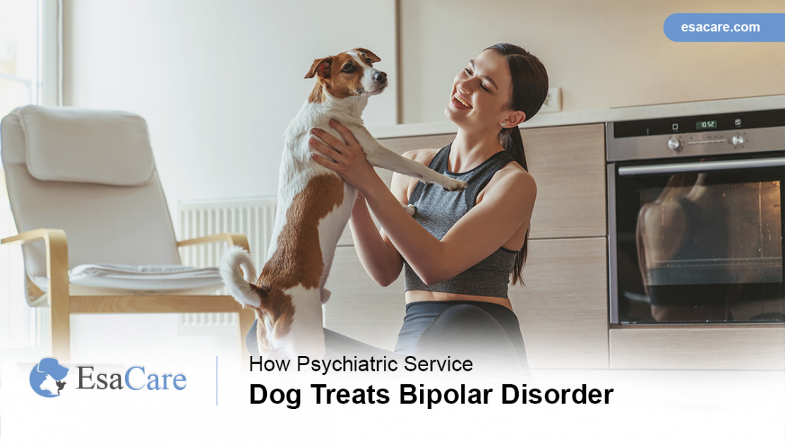 How Psychiatric Service Dog Treats Bipolar Disorder ESA Care