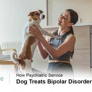 Psychiatric service dog bipolar disorder